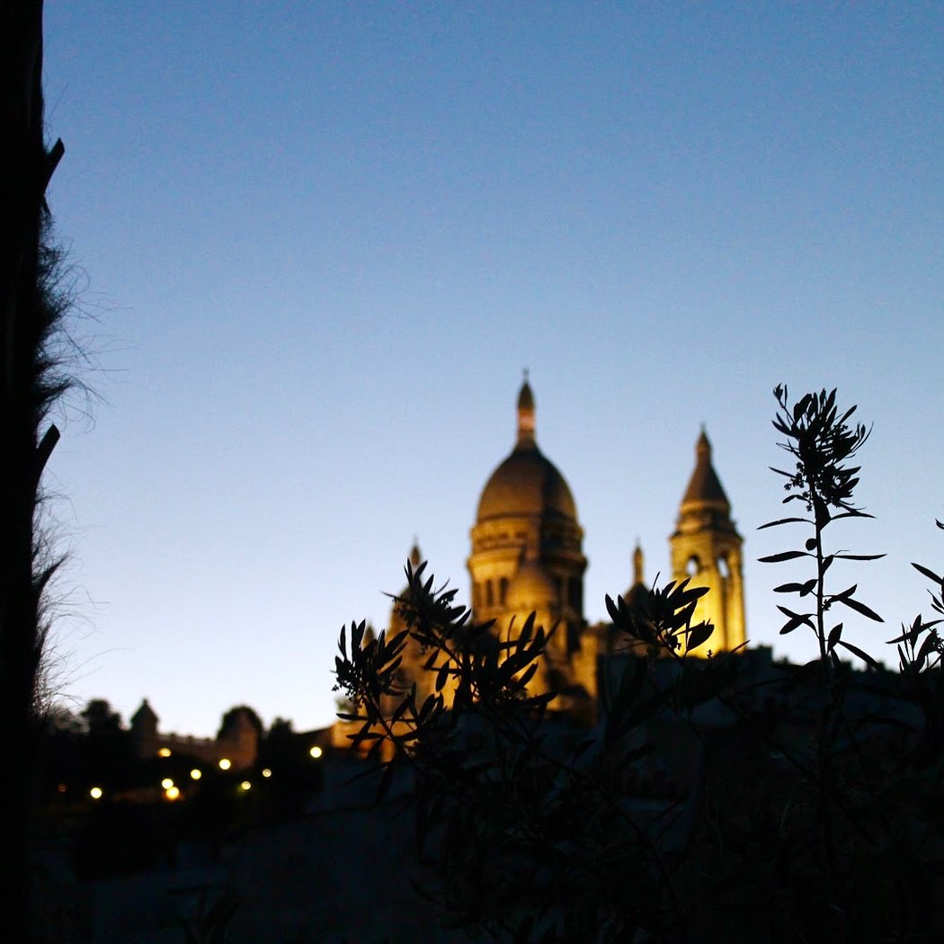 Secret Rooftop In Montmartre 2